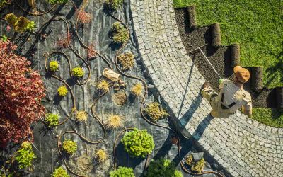 10 Ideas for Landscaping Property Lines