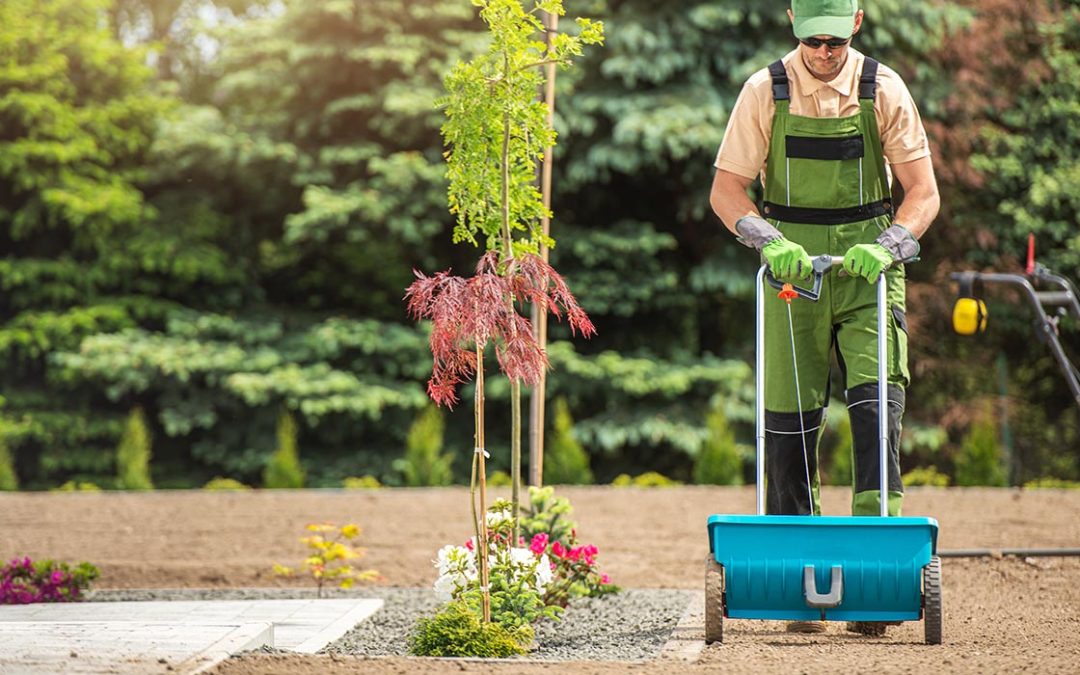 Why The Landscaper Is The Best For Business